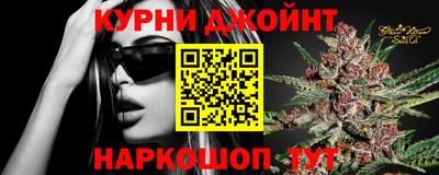 сатива Моздок