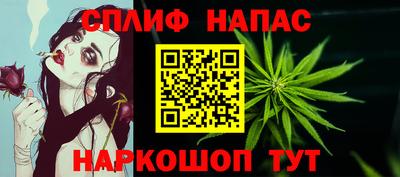 сатива Моздок