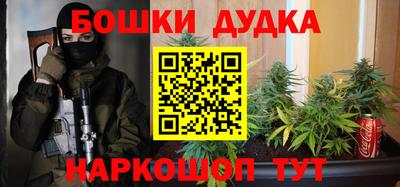 индика Можайск