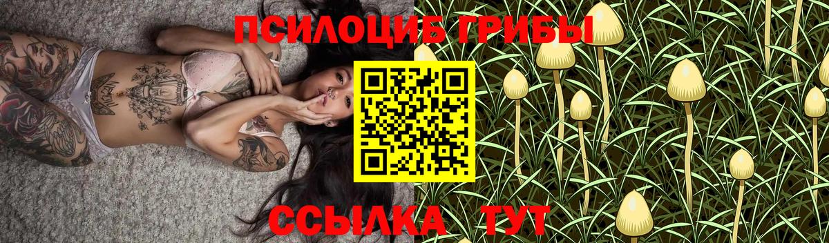 Галлюциногенные грибы мухоморы Усть-Джегута