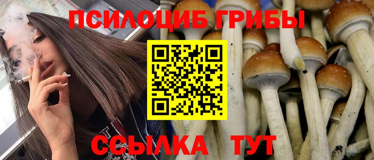 Усть-Джегута  Галлюциногенные грибы MAGIC MUSHROOMS  Вход с VPN 