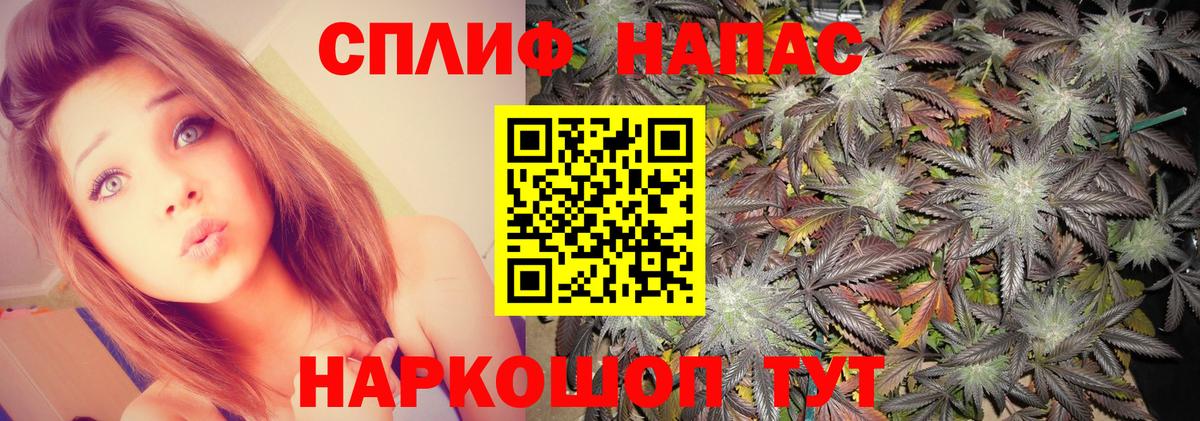 Марихуана семена  Вход с VPN  Усть-Джегута  Конопля ГИДРОПОН  Бошки Шишки MAZAR 